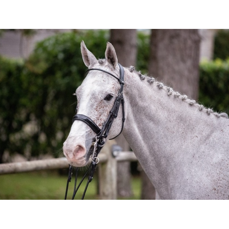 Double Bridle Courchevel with Reins - One