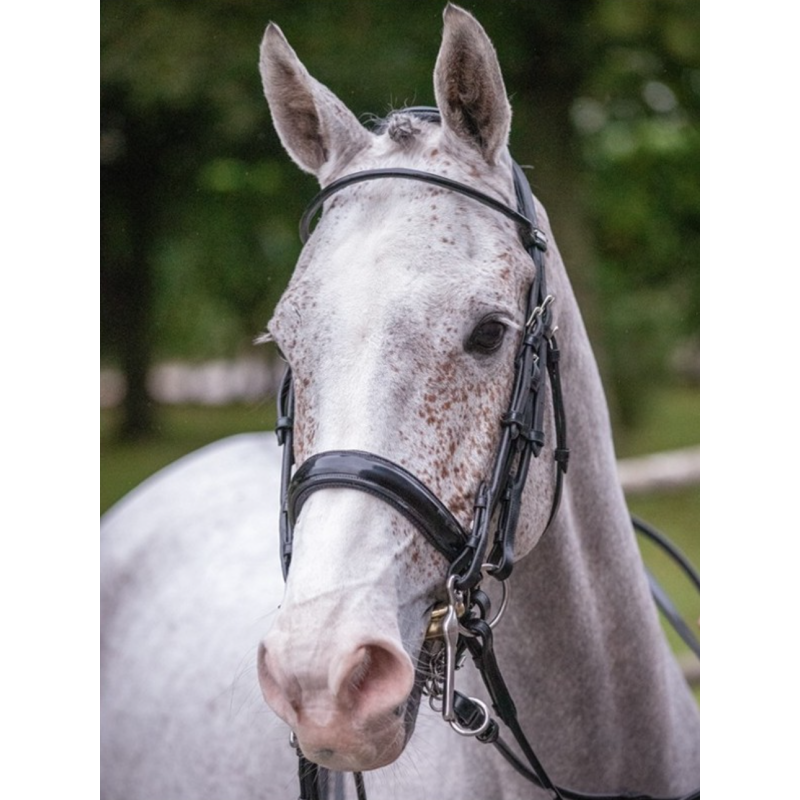 Double Bridle Courchevel with Reins - One