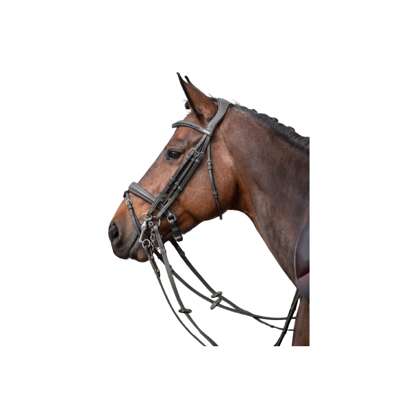 Double Bridle Megève - One