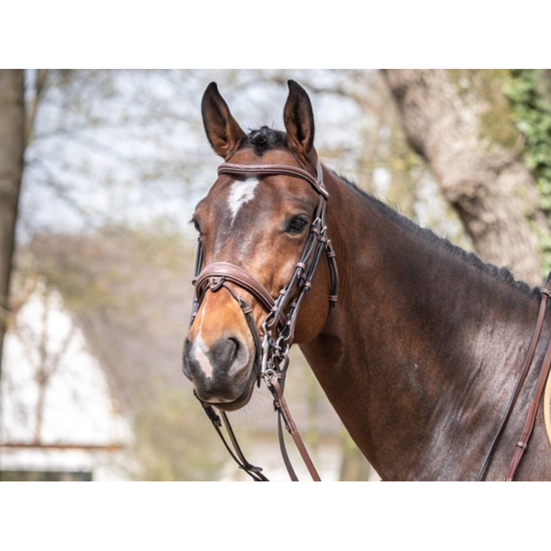 Double Bridle Megève - One