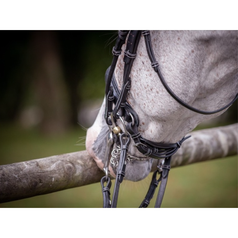 Patent Double Bridle Week Jump'in