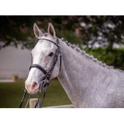 Bride de Dressage Vernie -...