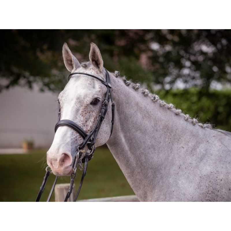 Patent Double Bridle Week Jump'in