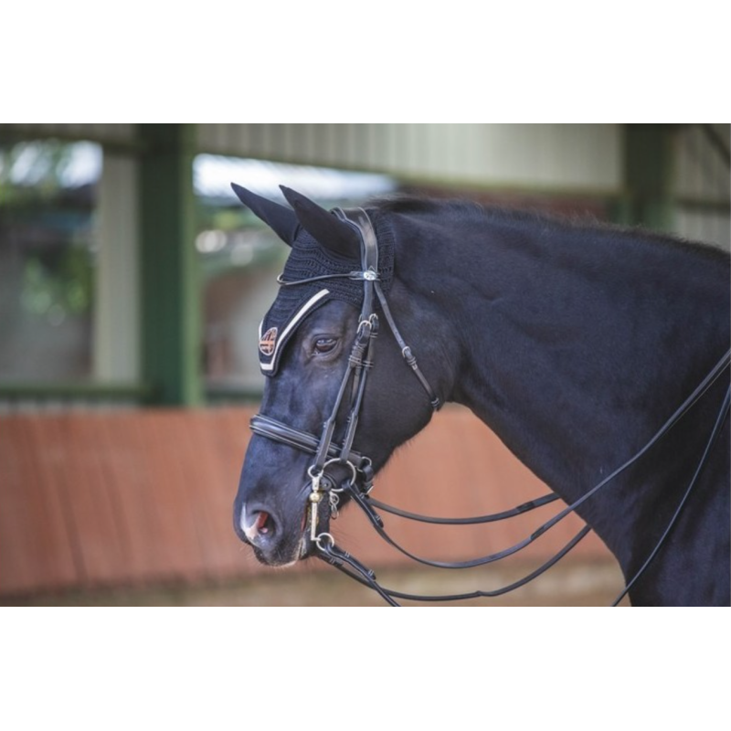 Patent Double Bridle Week Jump'in