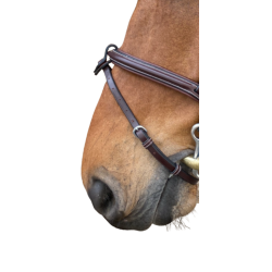 Noseband - Week