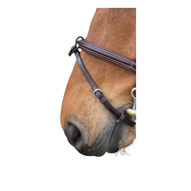 Noseband week Jump'in
