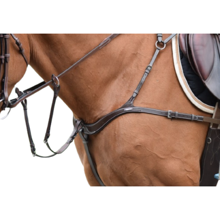2 in 1 Breastplate and Martingale - One Jump'in