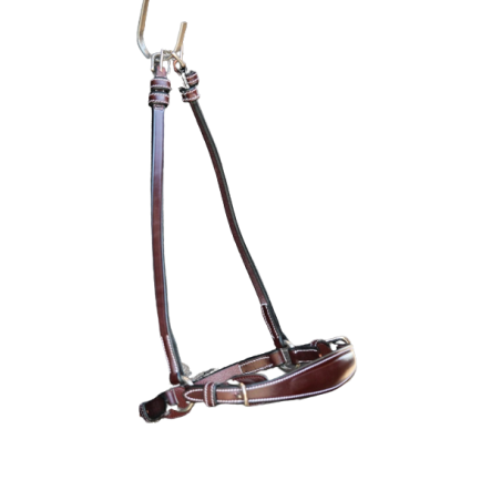 Drop noseband Week Jump'in
