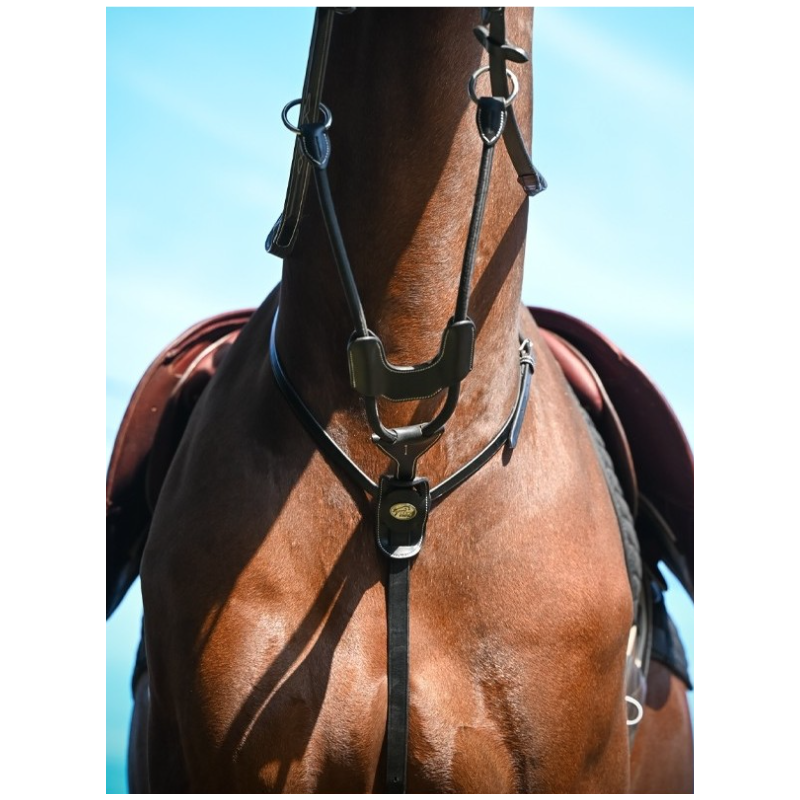 Elastic Running Martingale - Week Jump'in