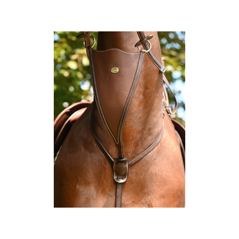 Soft Bip Martingale Week Jump'in