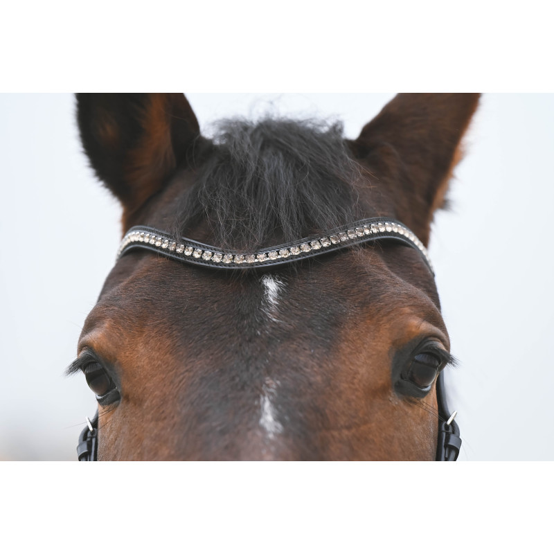 Fortuna Snaffle Bridle crank Noseband cruved crystal browband Passier