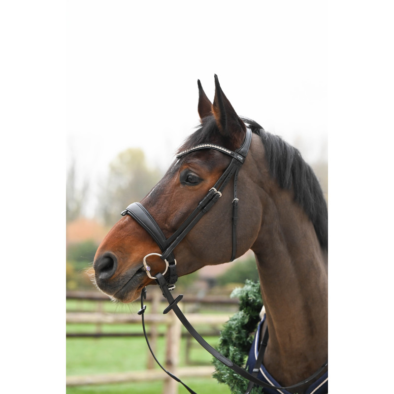 Fortuna Snaffle Bridle crank Noseband cruved crystal browband Passier