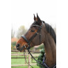 Fortuna Snaffle Bridle crank Noseband cruved crystal browband Passier