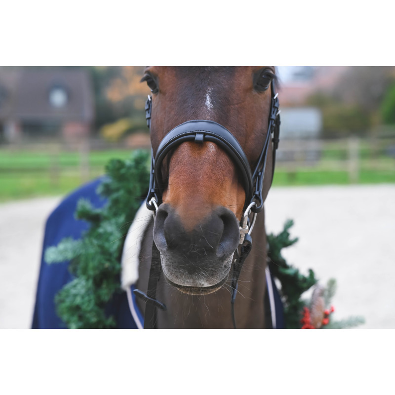 Fortuna Snaffle Bridle crank Noseband cruved crystal browband Passier