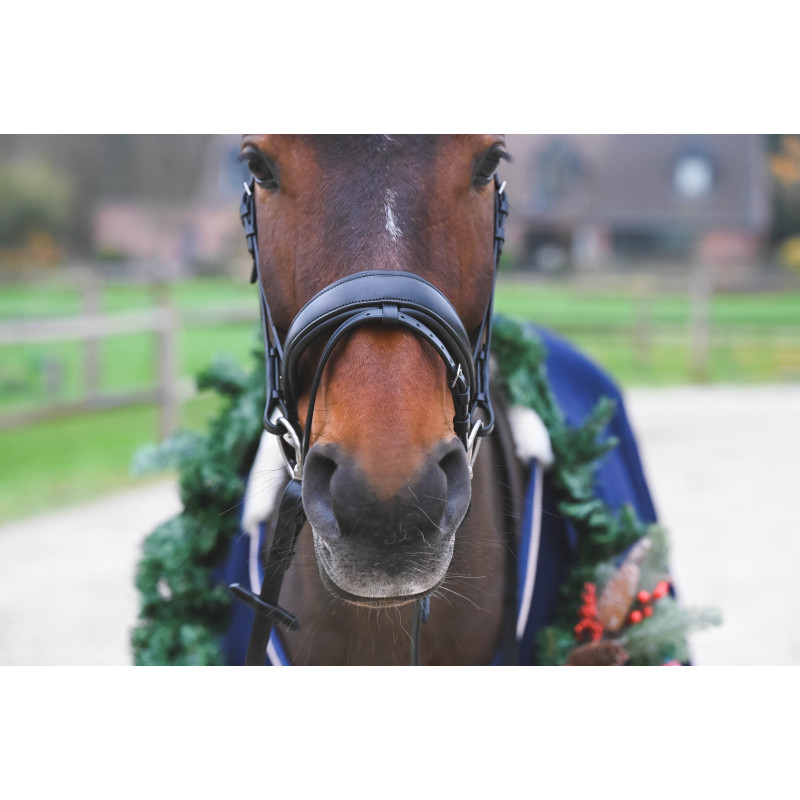 Fortuna Snaffle Bridle crank Noseband cruved crystal browband Passier