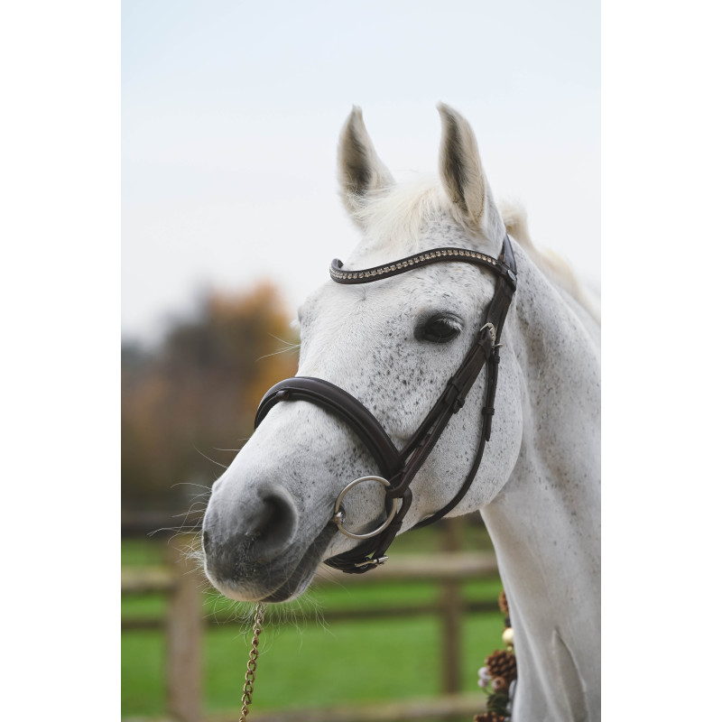 Fortuna Snaffle Bridle crank Noseband cruved crystal browband Passier