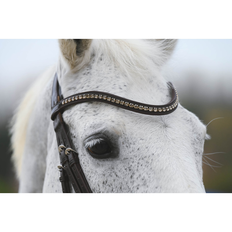 Fortuna Snaffle Bridle crank Noseband cruved crystal browband Passier
