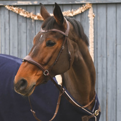 D motion Bridle - New English