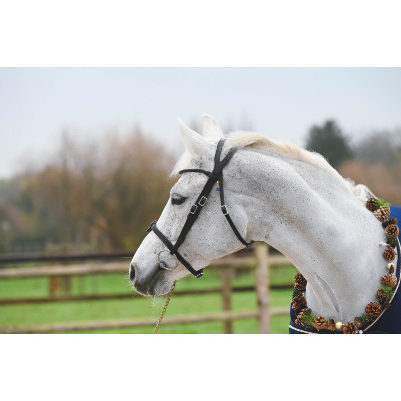 Bridle "evolution" Soft T by IHWT