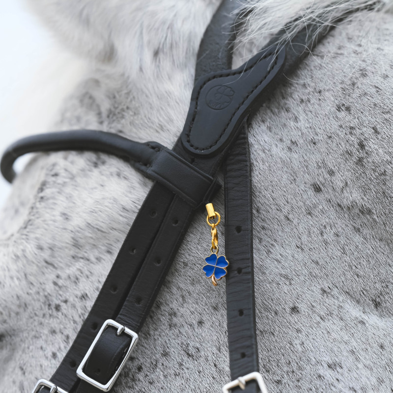 Bridle "evolution" Soft T by IHWT
