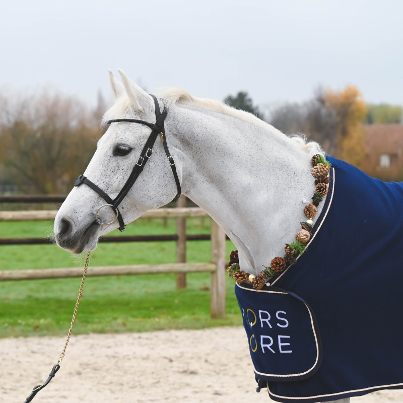 Bridle "evolution" Soft T by IHWT