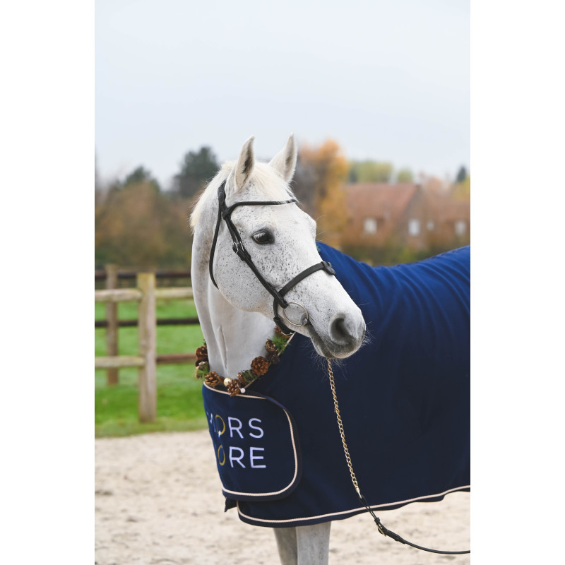 Bridle "evolution" Soft T by IHWT