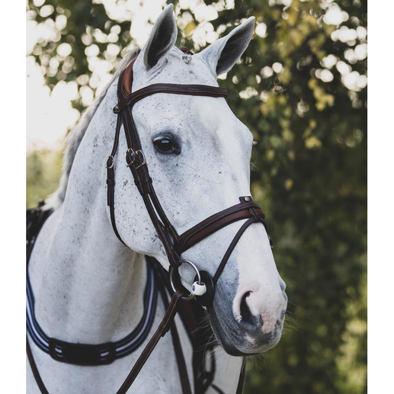Precision Comfort Bridle Antarès