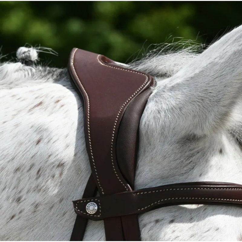 Precision Comfort Bridle Antarès
