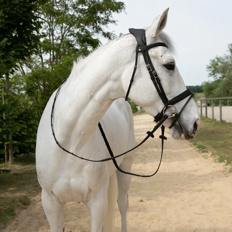 Precision Comfort Bridle Antarès