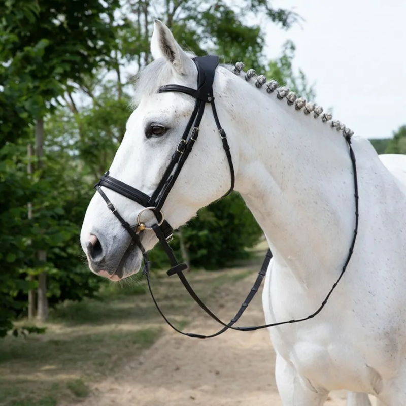 Bridon précision muserolle confort Antarès