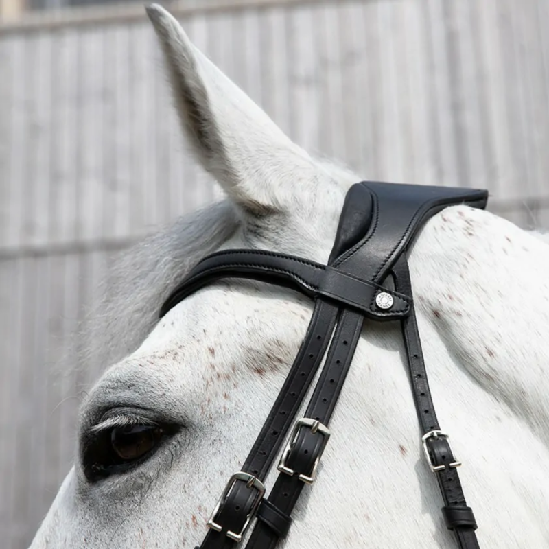 Precision Comfort Bridle Antarès