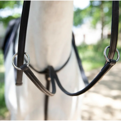 Running Martingale