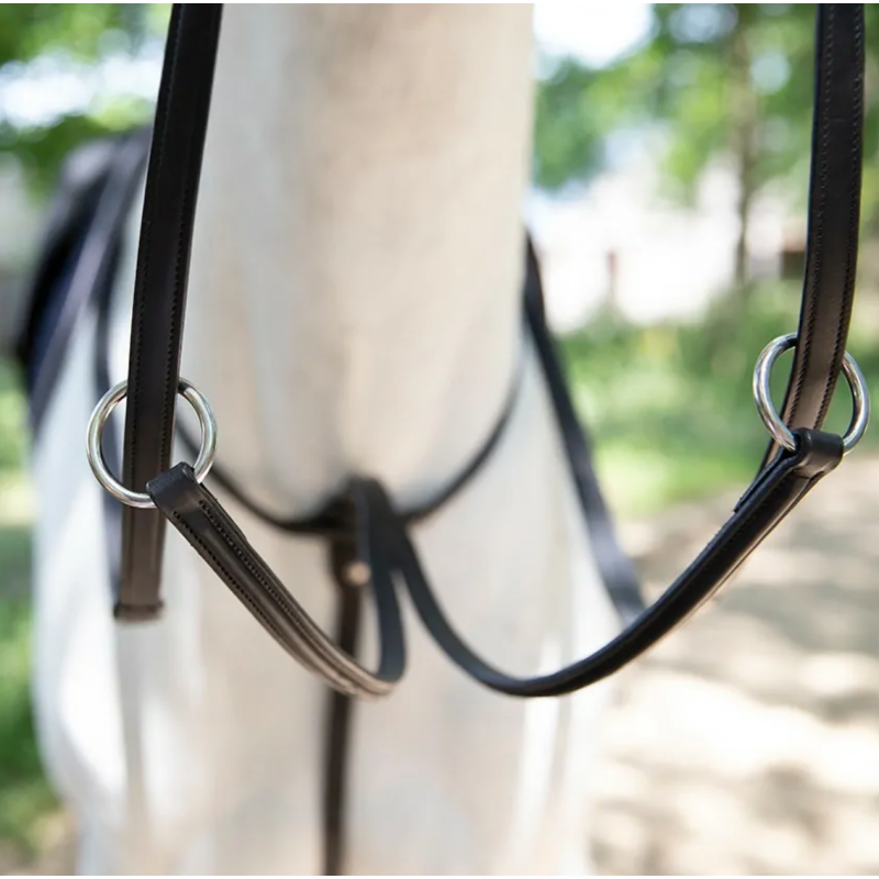 Running Martingale Antares