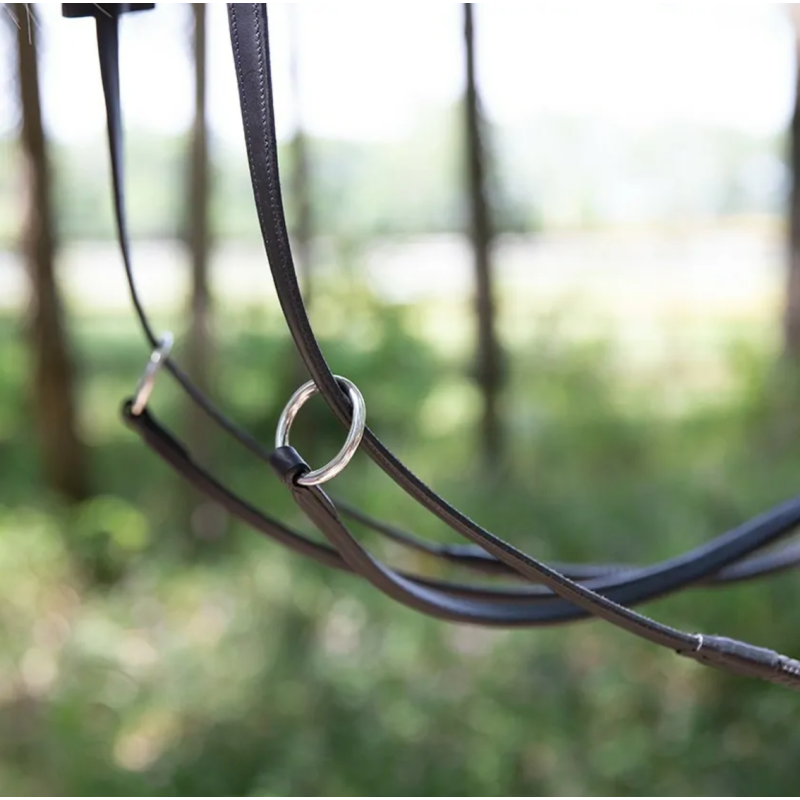 Running Martingale Antares