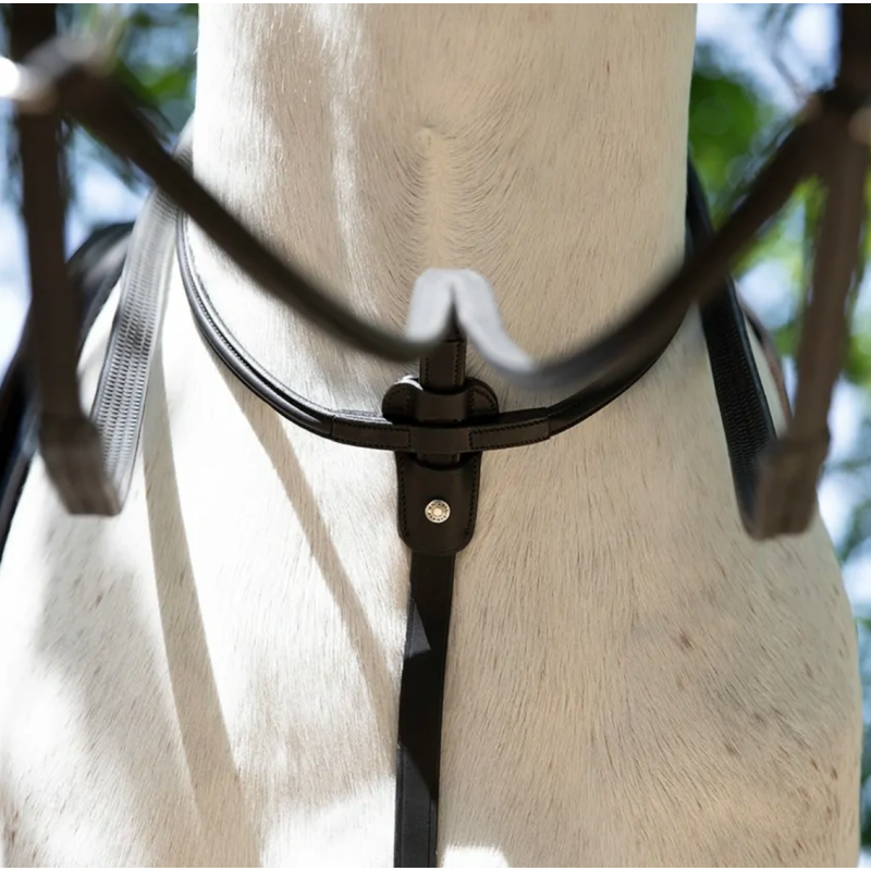 Running Martingale Antares