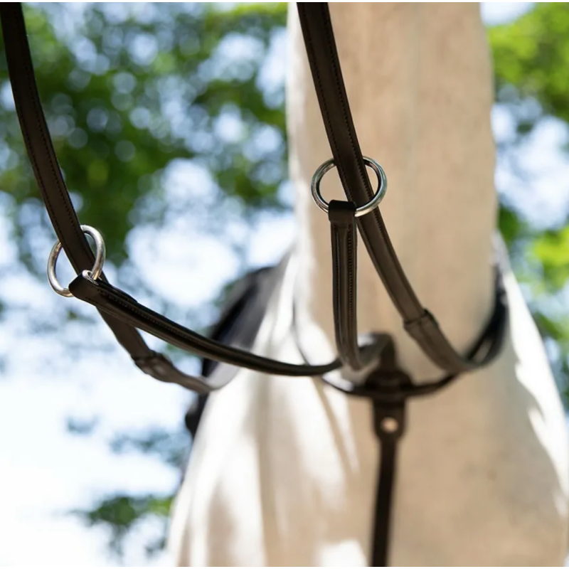 Running Martingale Antares