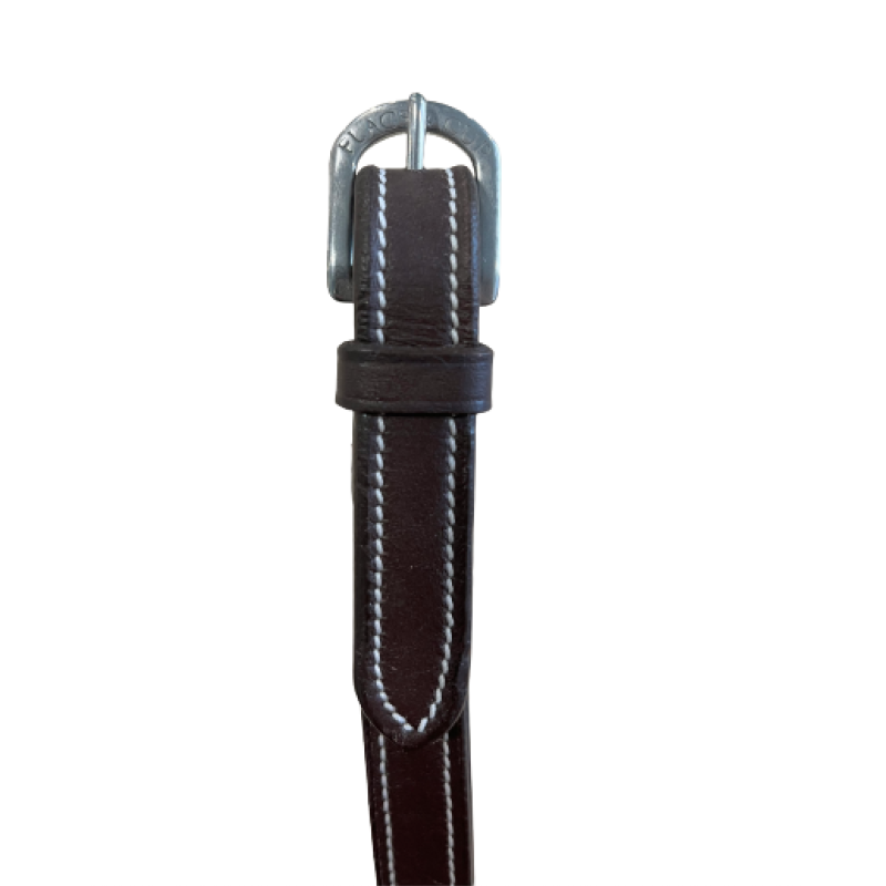 Reins with Ring Bit Loops - Flags and Cup