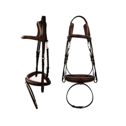Bridle Code 01
