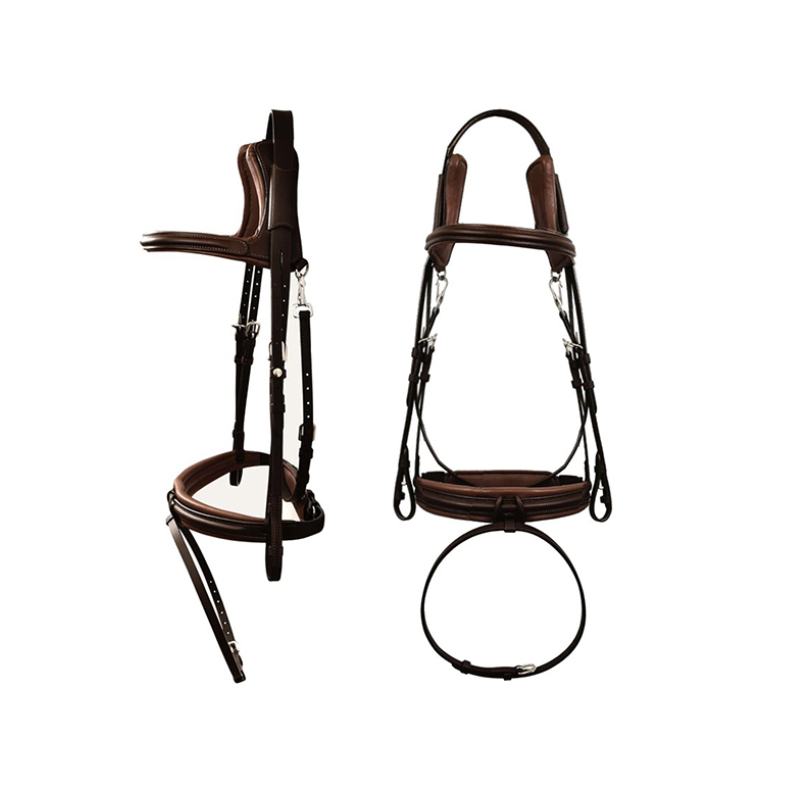 Bridle Code 01 - Silver Crown