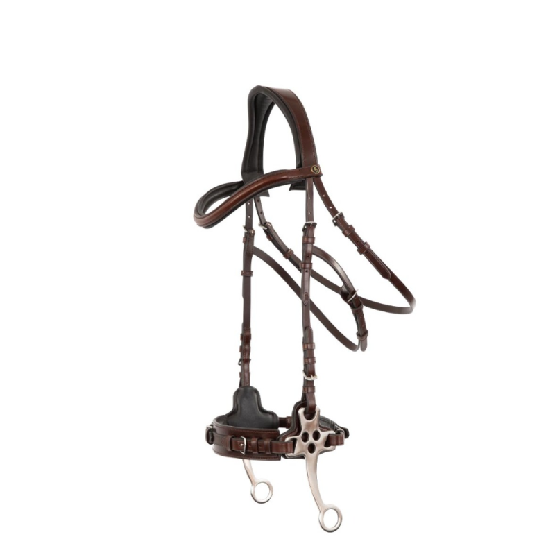 Bridle BR Lydney Hachamore