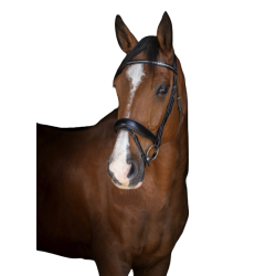 Elite Stuttgart Bridle
