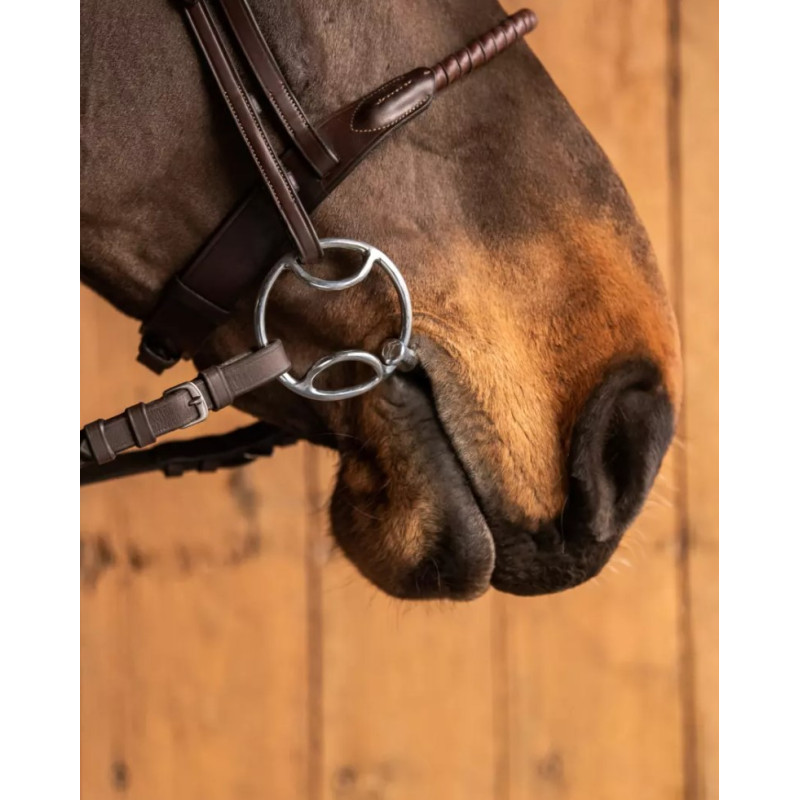 Mors GUSTAV 3 effets simple brisure FAGER