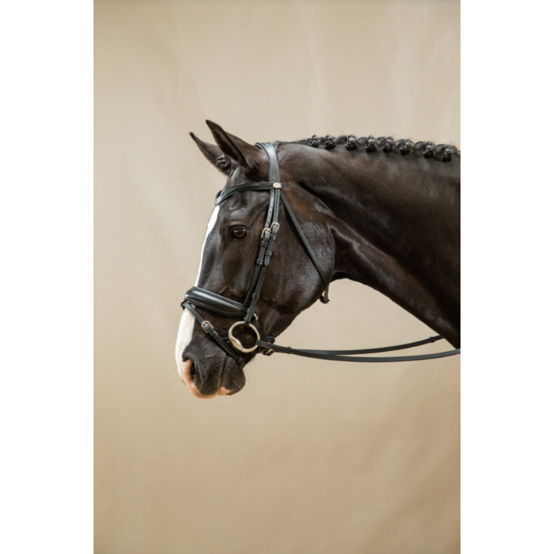 Patent Large Crank Noseband Bridle - Working by Dyon | M&M