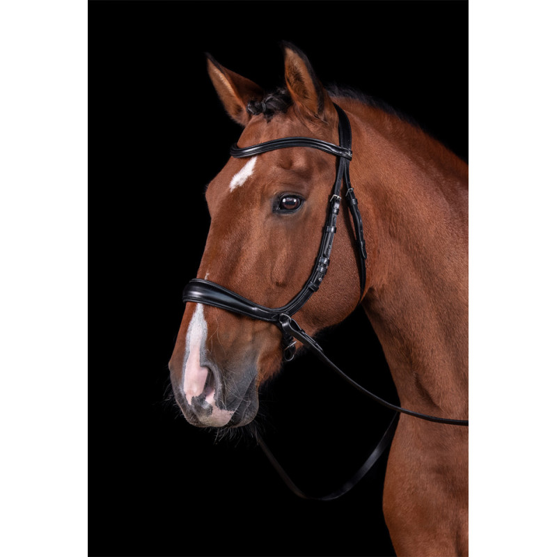 Bridle Equitus Theta 3 in 1