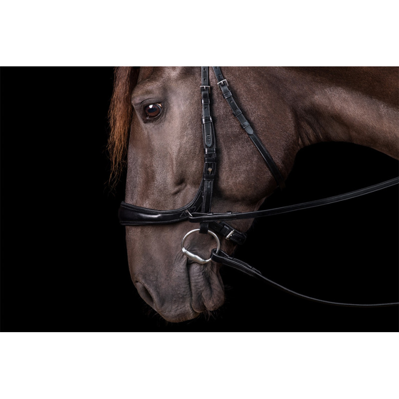 Bridle Equitus Theta 3 in 1