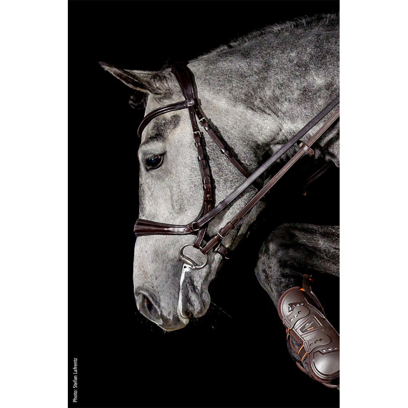 Bridle Equitus Theta 3 in 1