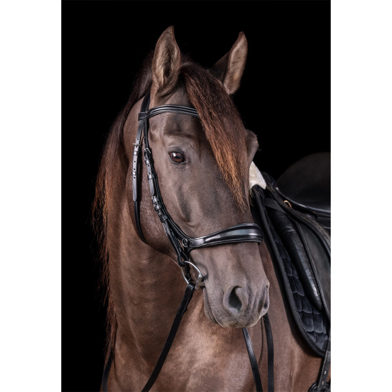 Bridle Equitus Theta 3 in 1
