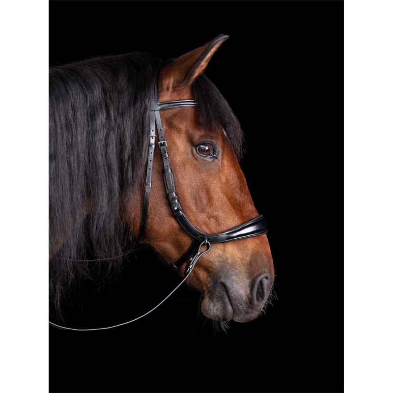 Bridle Equitus Theta 3 in 1