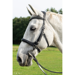 Runa Bridle 2 in 1