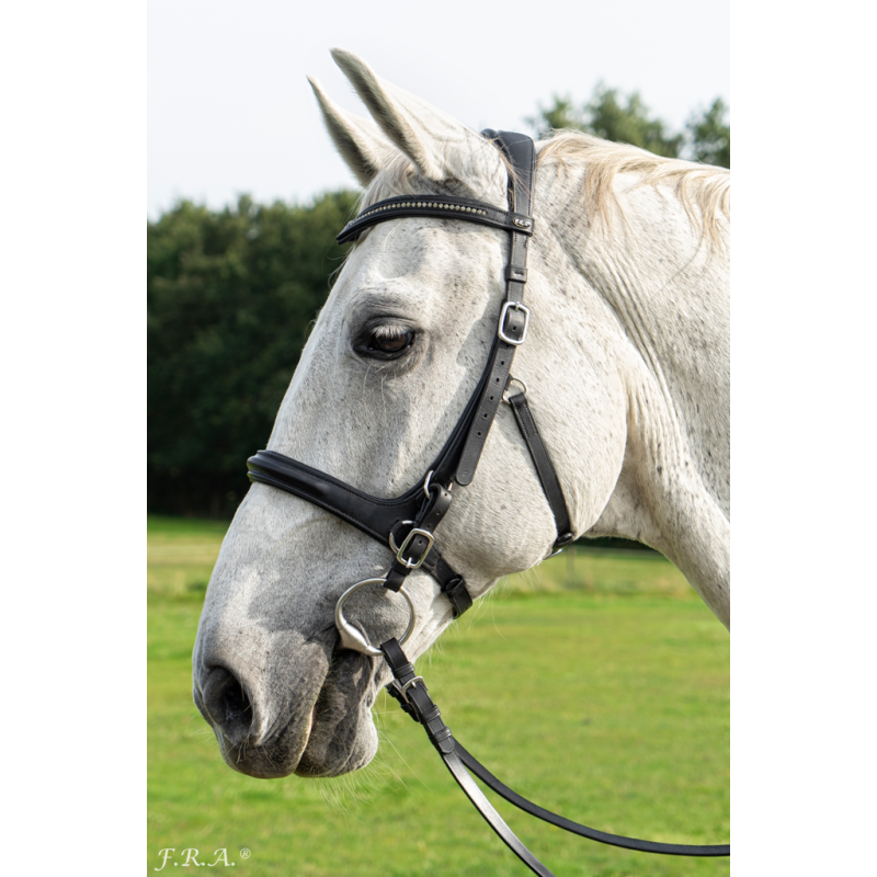 Runa Bridle 2 in 1 - FRA